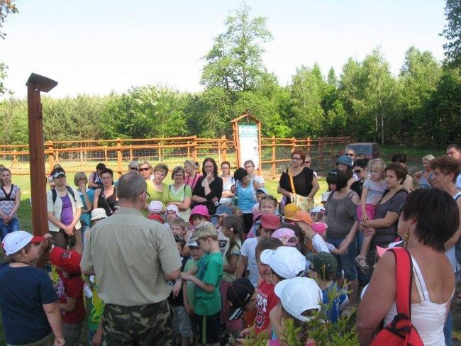 Dzień Mamy w plenerze (zdjęcia)