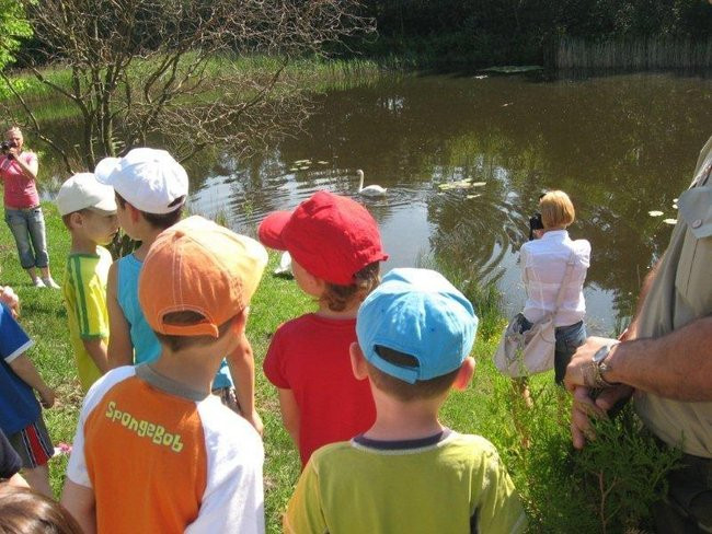 Dzień Mamy w plenerze (zdjęcia)