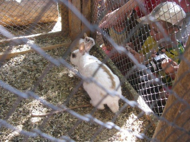 Dzień Mamy w plenerze (zdjęcia)