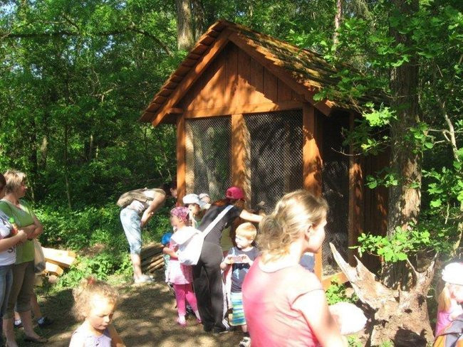 Dzień Mamy w plenerze (zdjęcia)