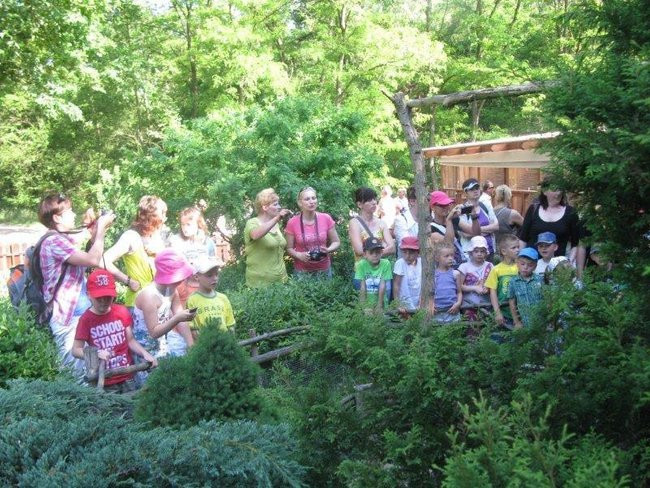 Dzień Mamy w plenerze (zdjęcia)