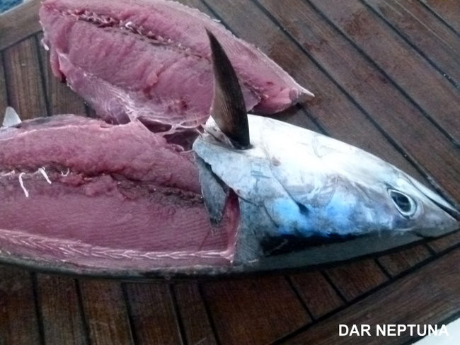 Kapitan Lewiński dopływa na Markizy (zdjęcia)