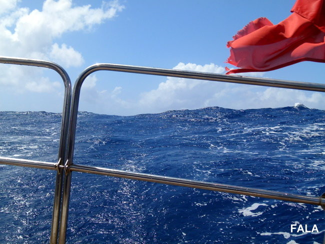 Kapitan Lewiński dopływa na Markizy (zdjęcia)