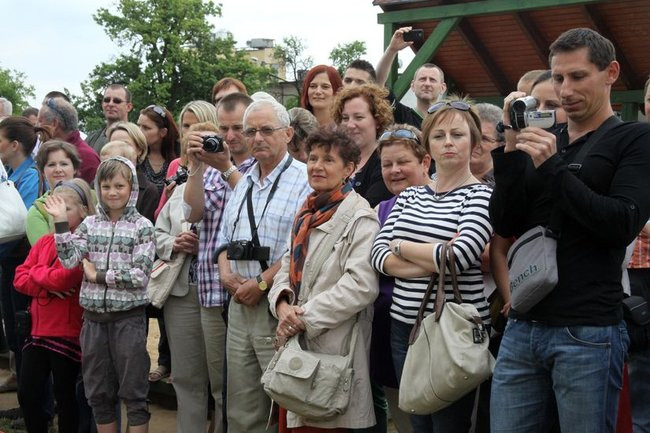 Wspólna zabawa rodziców i dzieci (zdjęcia)