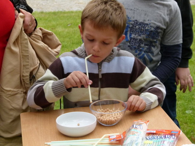 Powiatowo w Rydzynie (zdjęcia)