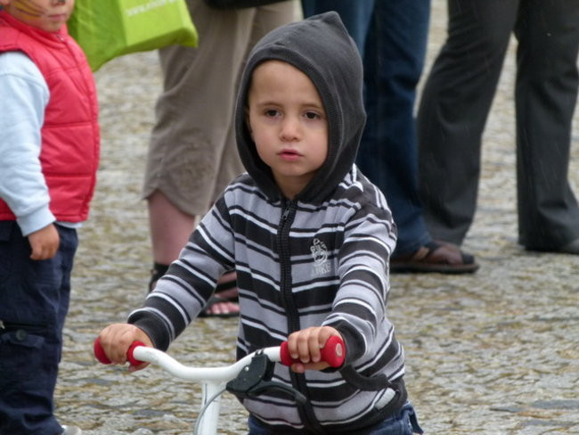 Powiatowo w Rydzynie (zdjęcia)