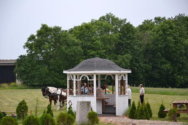 Festyn dla Filipka (zdjęcia)