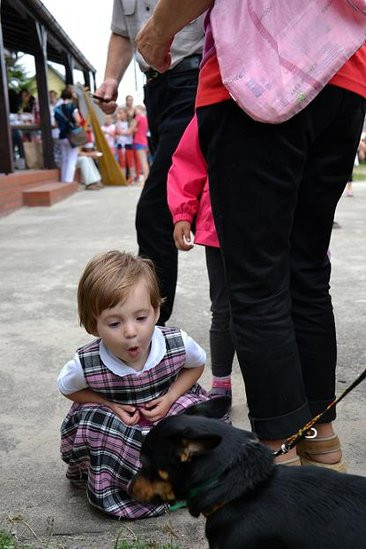 Festyn dla Filipka (zdjęcia)