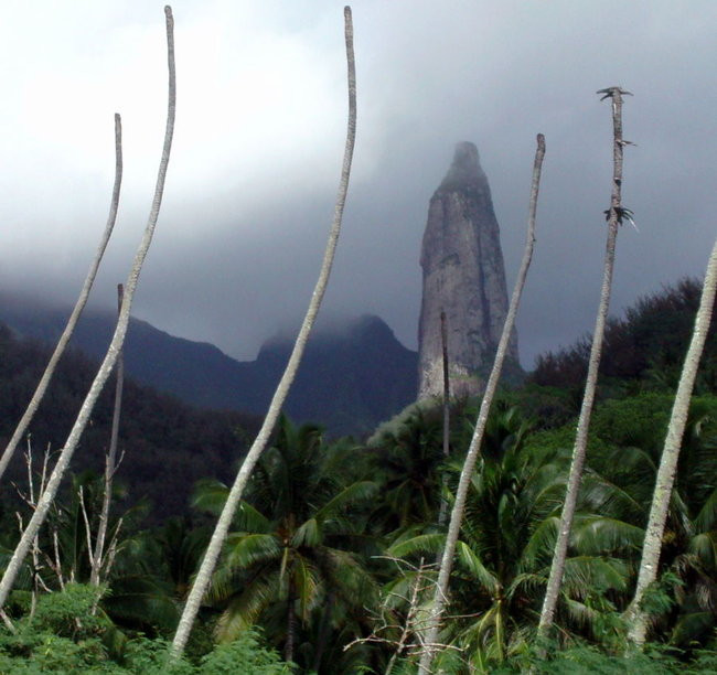 Kapitan Lewiński zmierza na Tuamotu