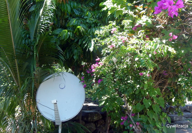 Kapitan Lewiński zmierza na Tuamotu