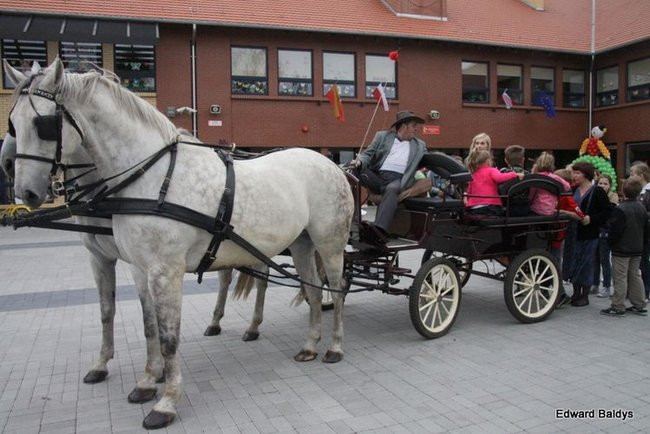 60 lat Przedszkola nr 13 na Gronowie (zdjęcia)