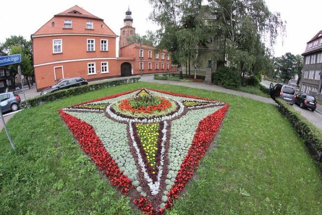 Kwietne dywany w całym mieście (zdjęcia)