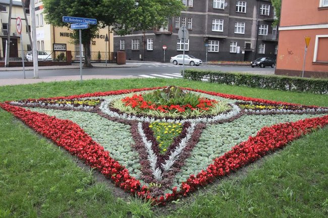 Kwietne dywany w całym mieście (zdjęcia)