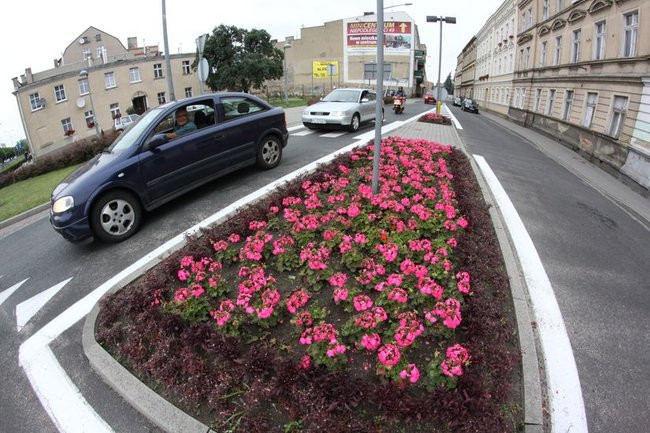 Kwietne dywany w całym mieście (zdjęcia)