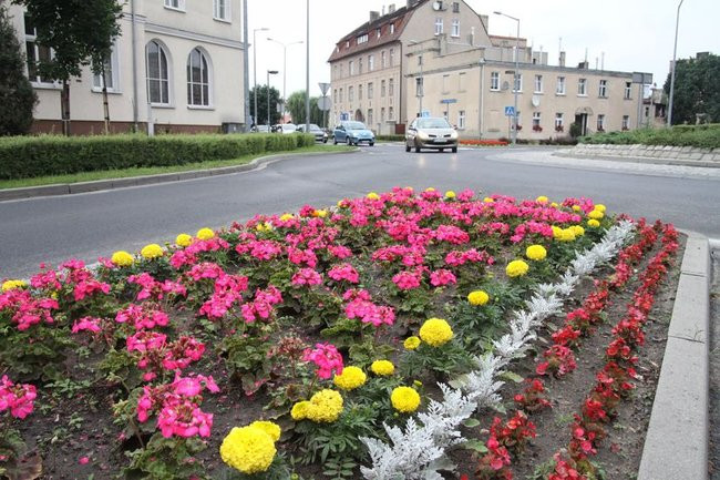 Kwietne dywany w całym mieście (zdjęcia)
