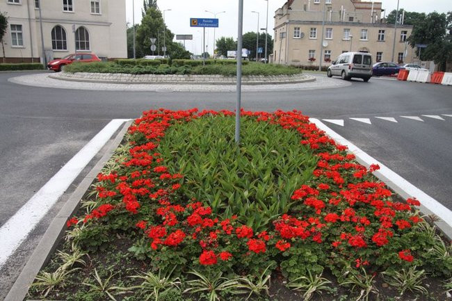 Kwietne dywany w całym mieście (zdjęcia)