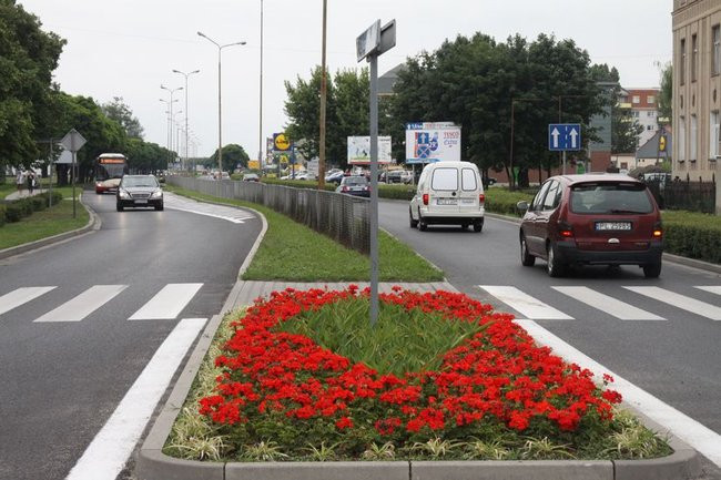 Kwietne dywany w całym mieście (zdjęcia)