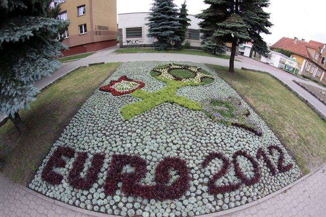 Kwietne dywany w całym mieście (zdjęcia)