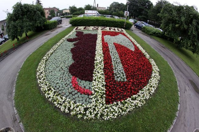 Kwietne dywany w całym mieście (zdjęcia)