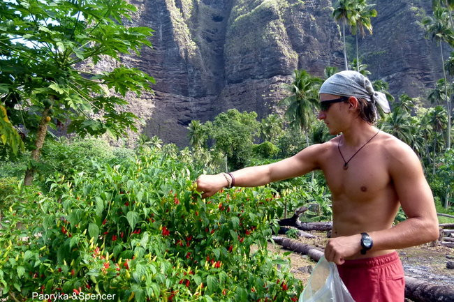 Ullyses zmierza do Australii (zdjęcia)