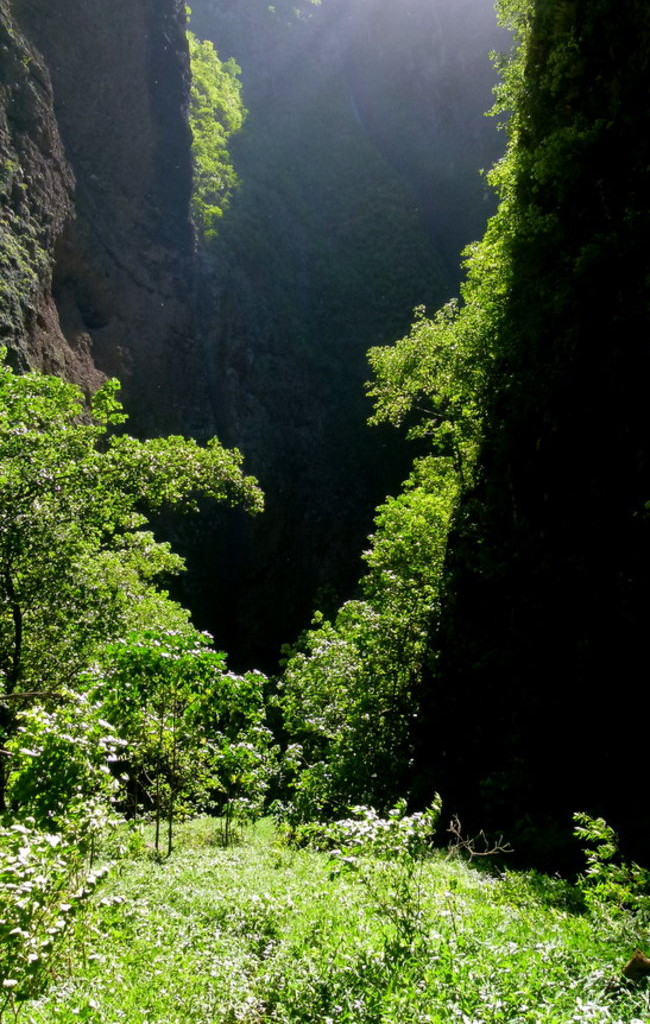 Ullyses zmierza do Australii (zdjęcia)