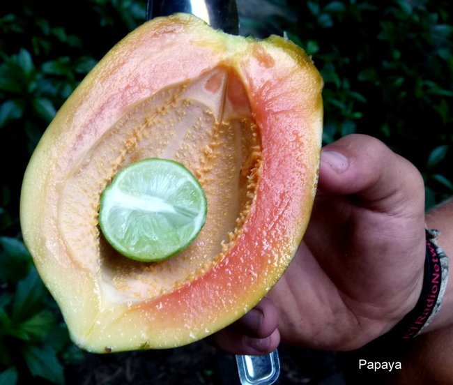 Ullyses zmierza do Australii (zdjęcia)