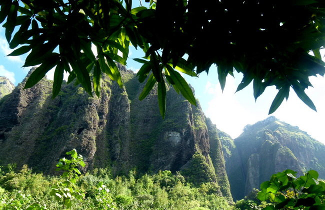 Ullyses zmierza do Australii (zdjęcia)