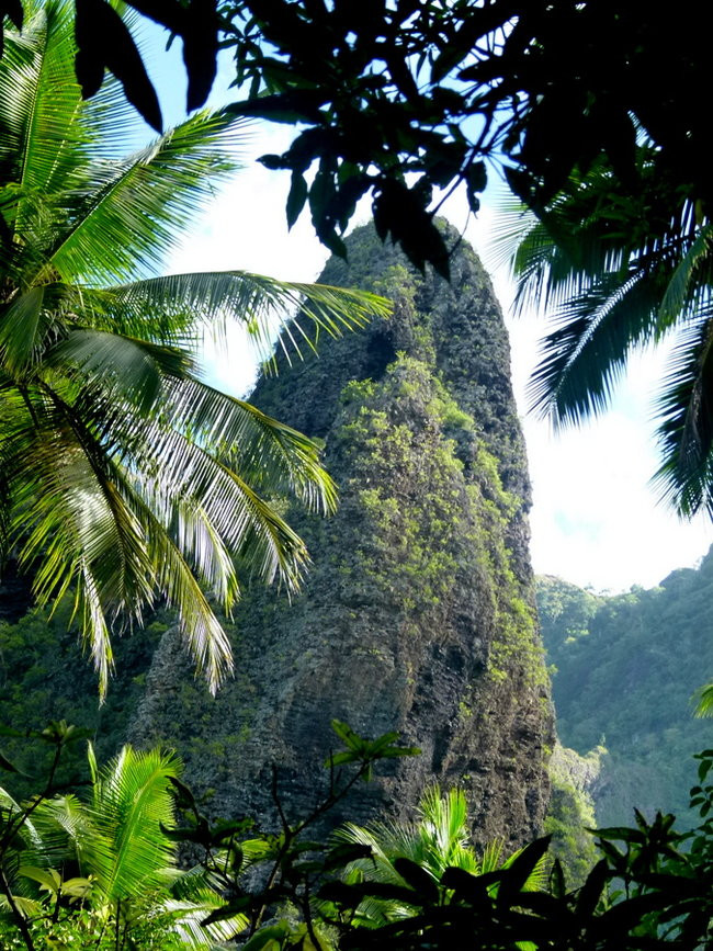 Ullyses zmierza do Australii (zdjęcia)