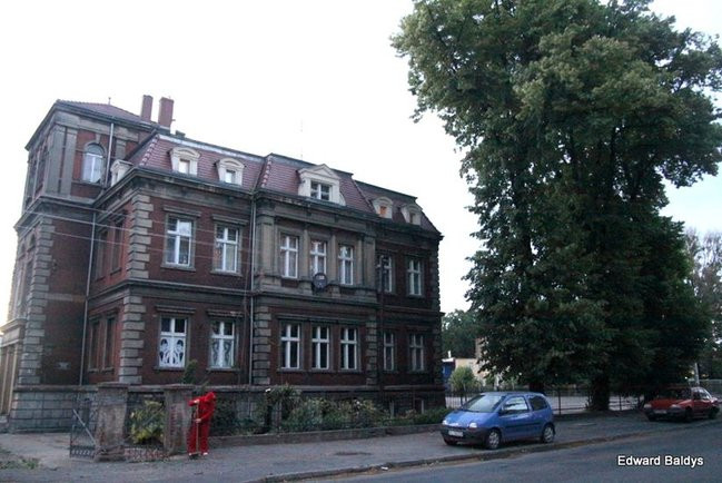 Przy ul. Kasprowicza w Lesznie przewróciło się drzewo (zdjęcia)