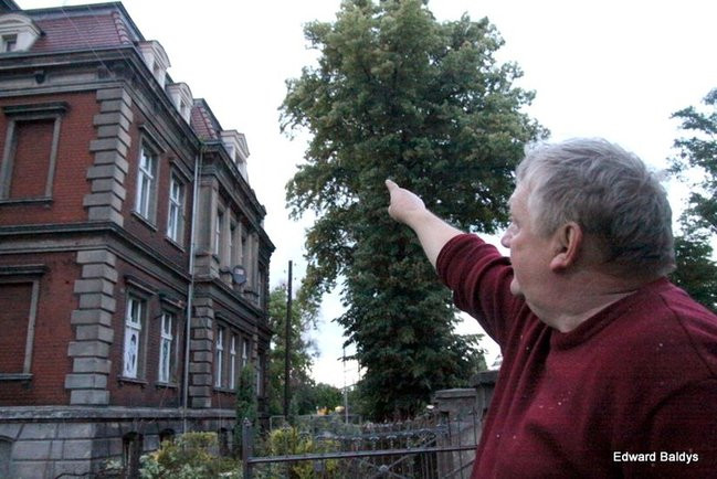 Przy ul. Kasprowicza w Lesznie przewróciło się drzewo (zdjęcia)