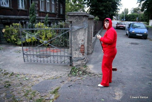 Przy ul. Kasprowicza w Lesznie przewróciło się drzewo (zdjęcia)