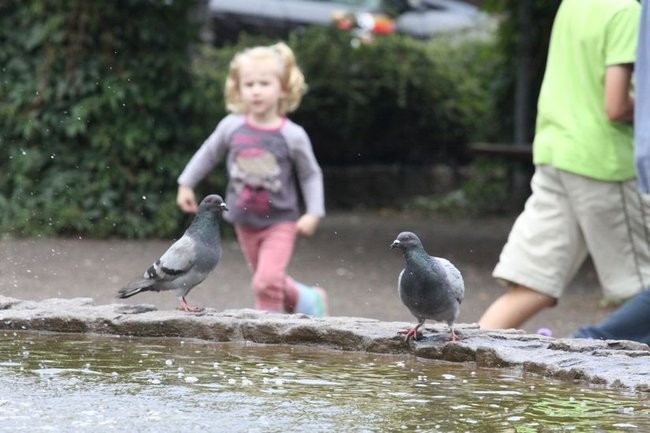 Pokazali, co robią na co dzień (zdjęcia)