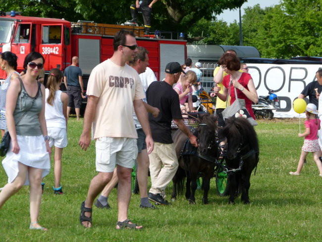 Piknik jak marzenie (zdjęcia)