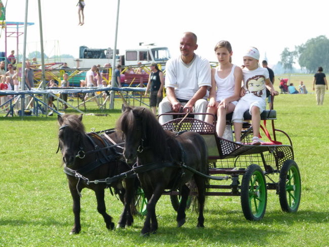 Piknik jak marzenie (zdjęcia)
