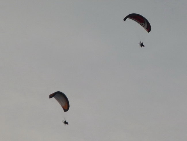 Piknik jak marzenie (zdjęcia)