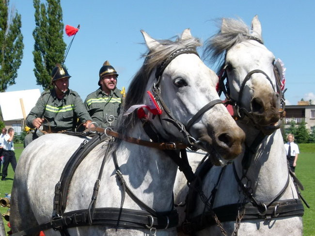 Stare sikawki znów w boju (zdjęcia)