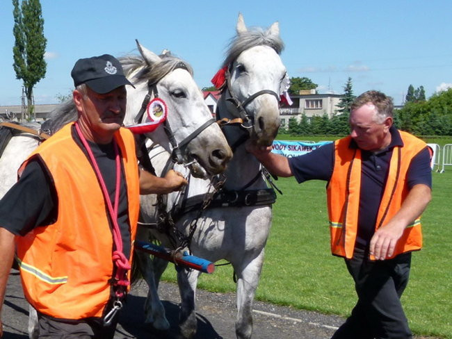 Stare sikawki znów w boju (zdjęcia)