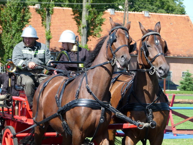 Stare sikawki znów w boju (zdjęcia)