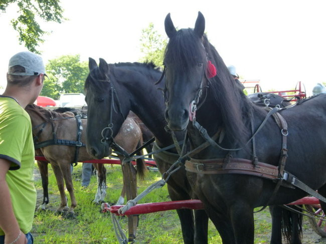 Stare sikawki znów w boju (zdjęcia)