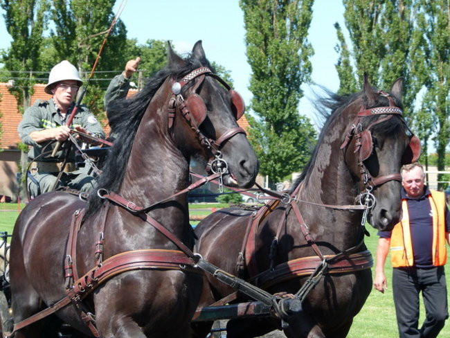 Stare sikawki znów w boju (zdjęcia)