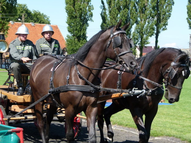 Stare sikawki znów w boju (zdjęcia)