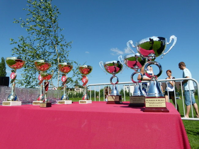 Stare sikawki znów w boju (zdjęcia)