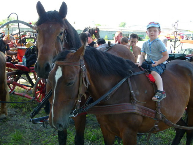 Stare sikawki znów w boju (zdjęcia)
