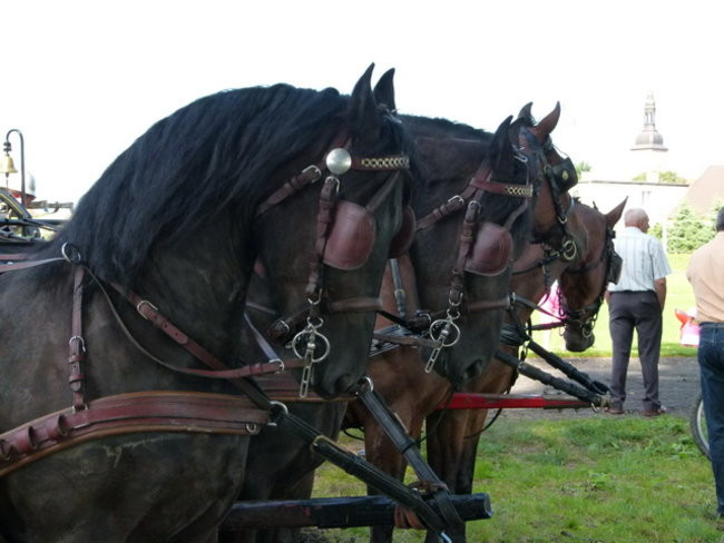 Stare sikawki znów w boju (zdjęcia)
