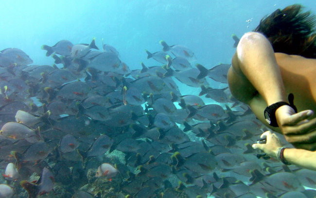 Lewiński w Polinezji (zdjęcia)