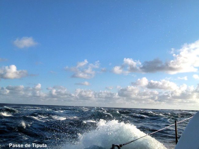 Lewiński w Polinezji (zdjęcia)