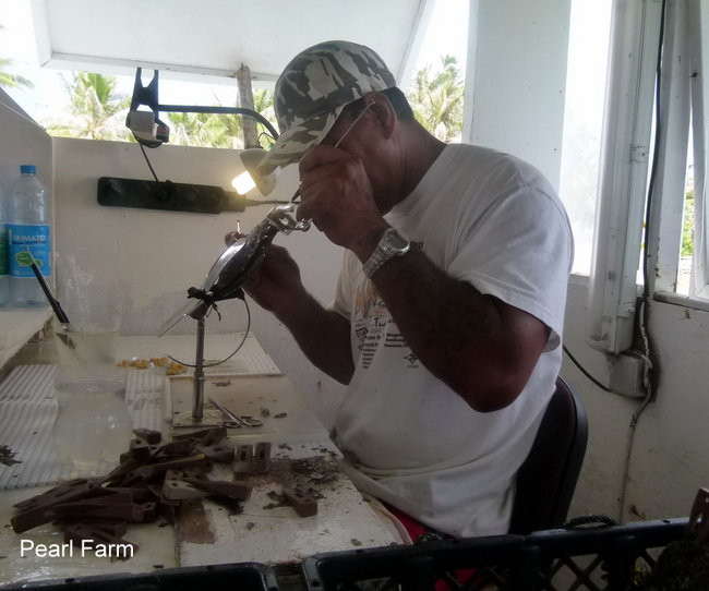 Lewiński w Polinezji (zdjęcia)