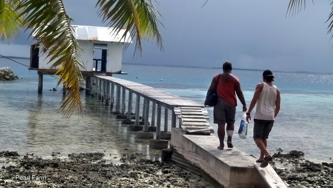 Lewiński w Polinezji (zdjęcia)