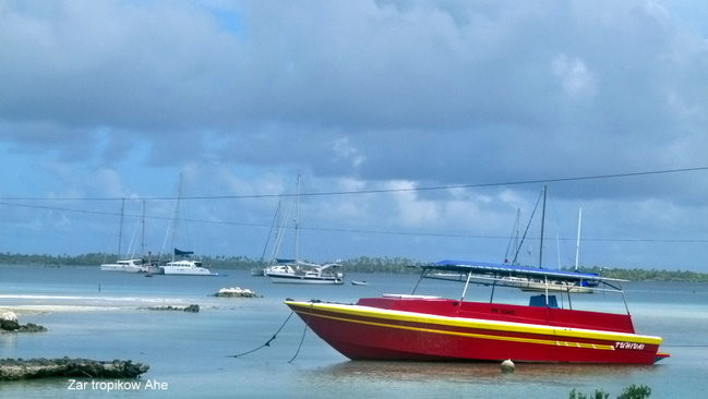 Lewiński w Polinezji (zdjęcia)