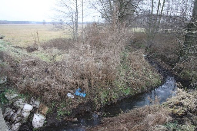 Zbiornik w Rydzynie gotowy na jesień (zdjęcia)